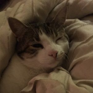 Meet your Posher, Yasmine